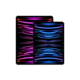iPad Pro 11-inch 256GB